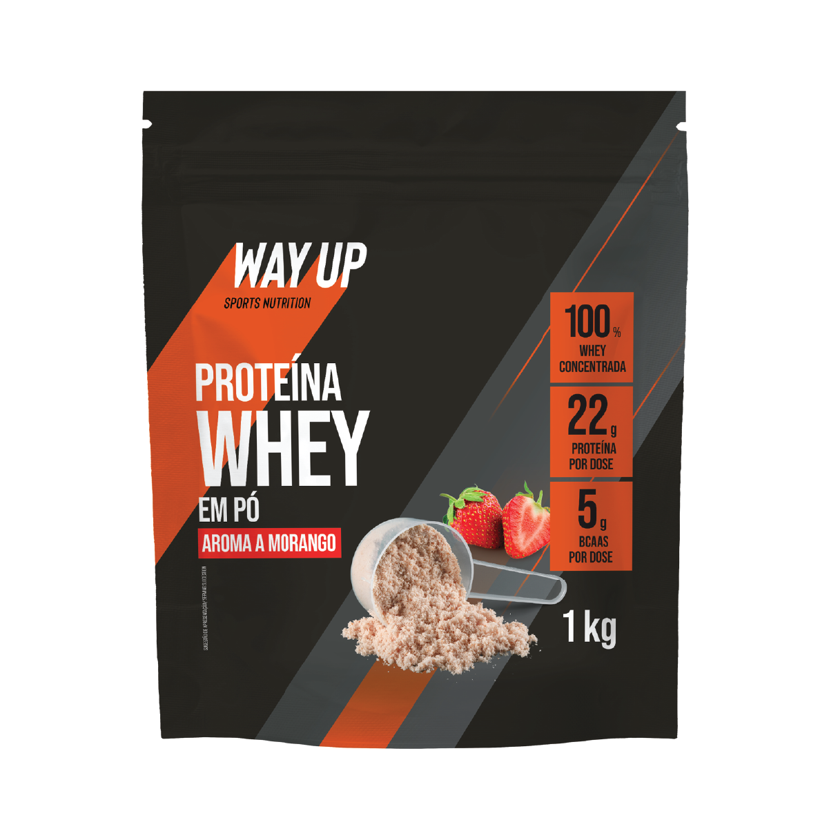 Whey Concentrada