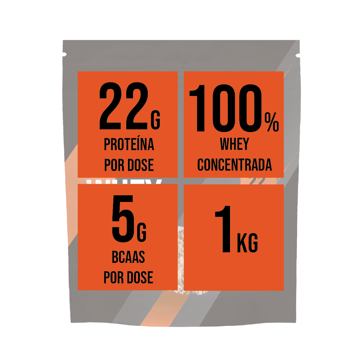 Whey Concentrada